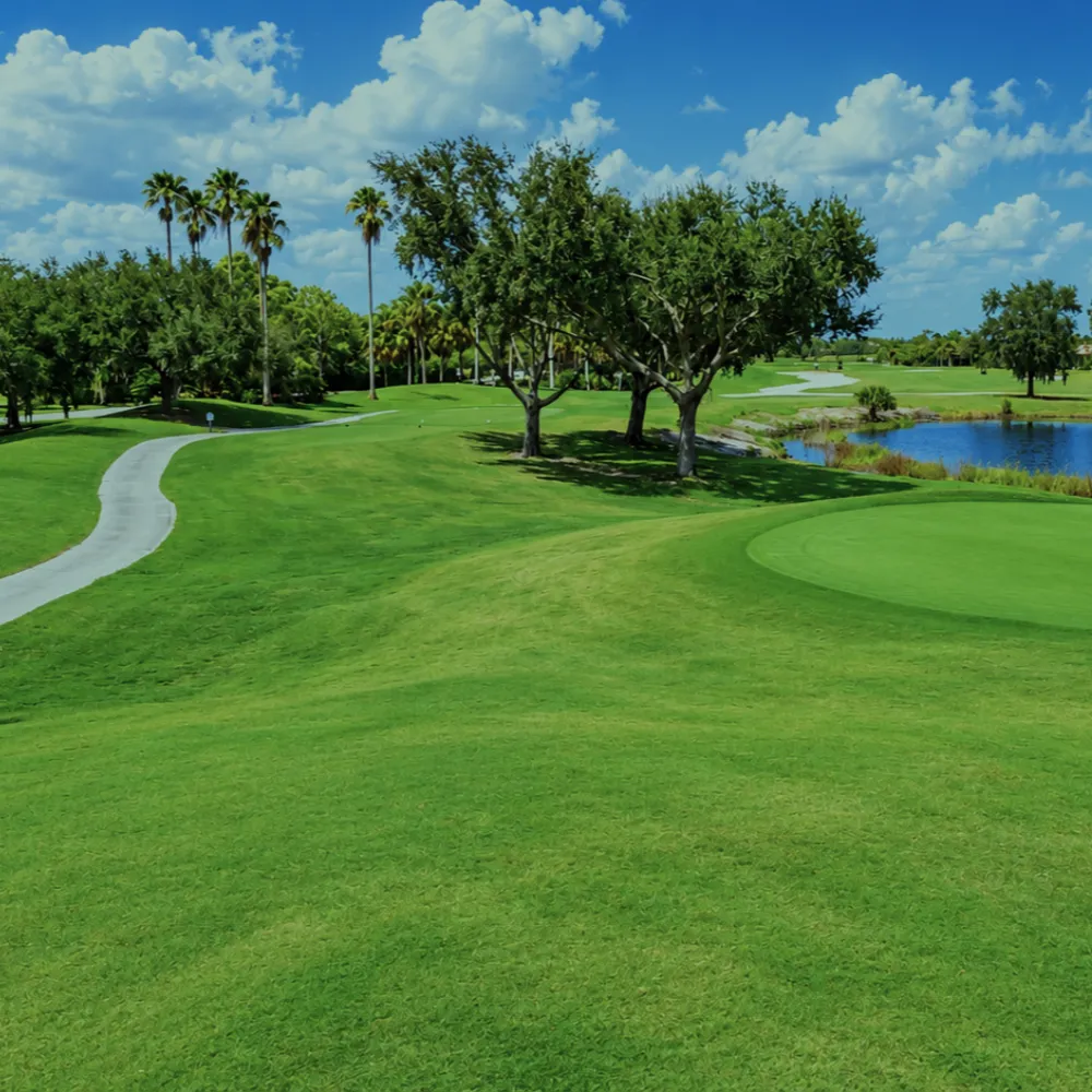 Hole 2 Green Image Oct 5, 2026, 03 10 00 PM